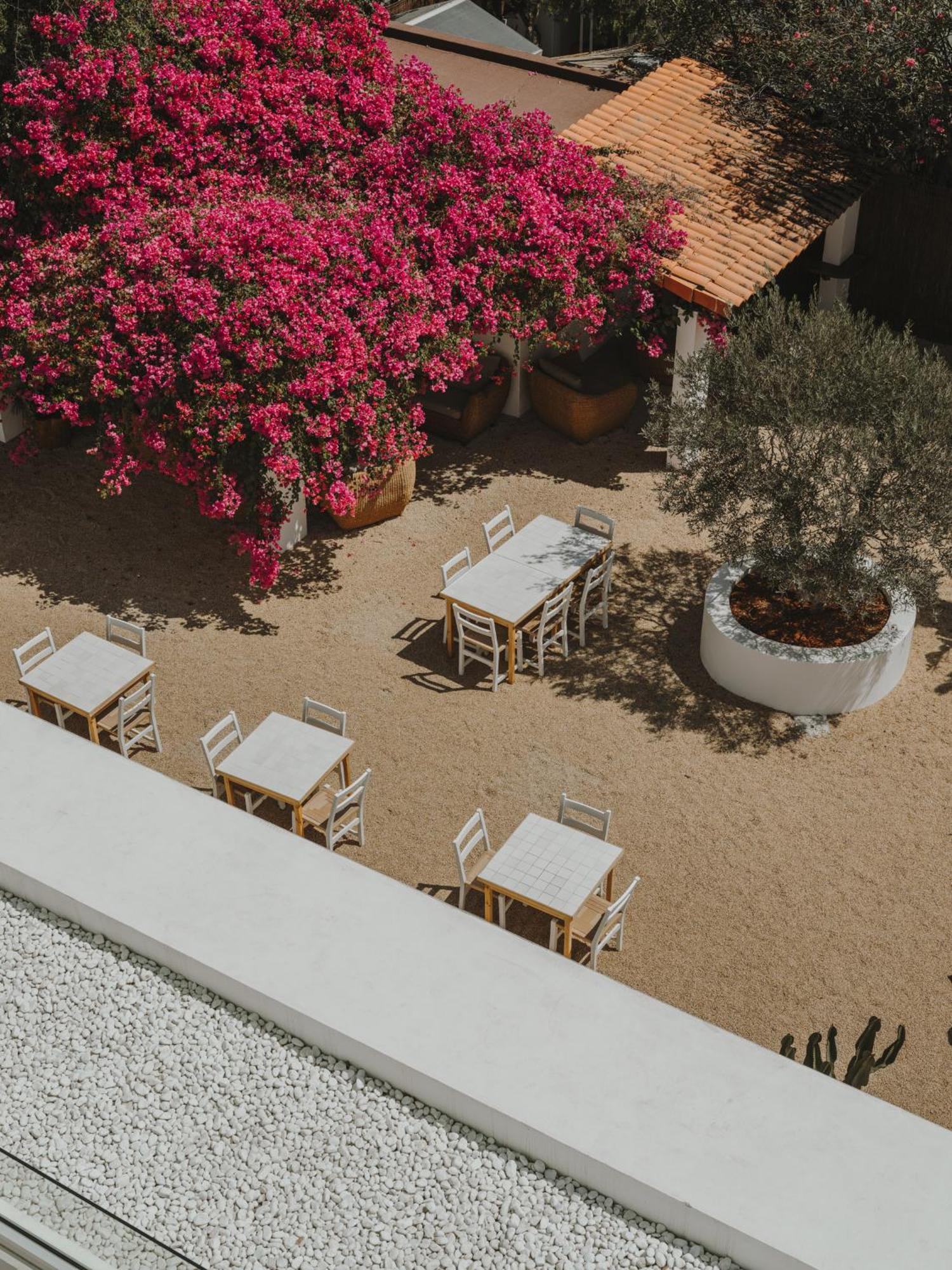 Ibara Ibiza Hotel Boutique Es Cana المظهر الخارجي الصورة